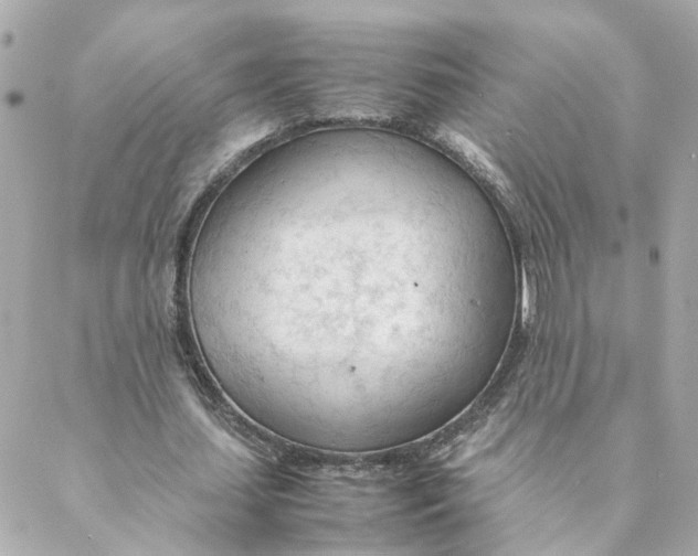 X0000088170627200706051117