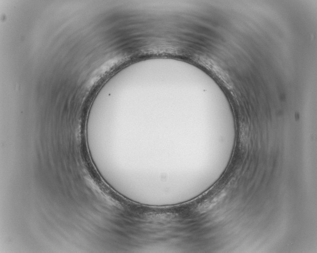 X0000088170629200706051117