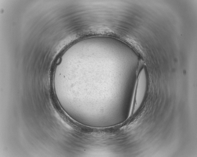 X0000088170630200706051117