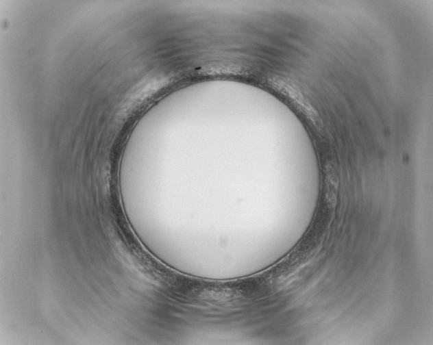 X0000088170631200706051117