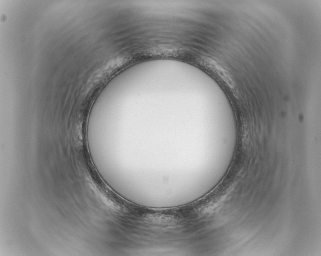 X0000088170633200706051117