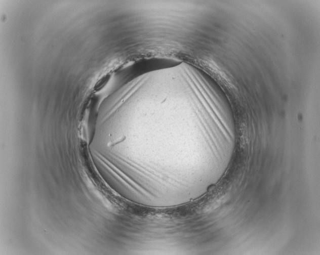 X0000088170634200706051117