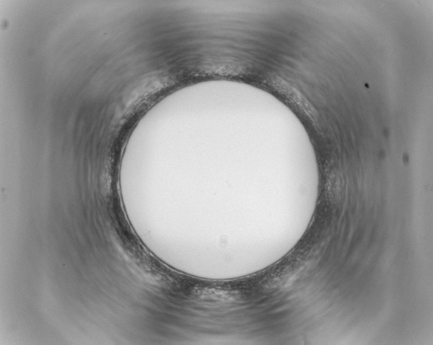 X0000088170635200706051117