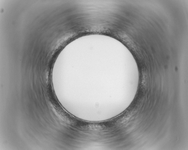 X0000088170636200706051117