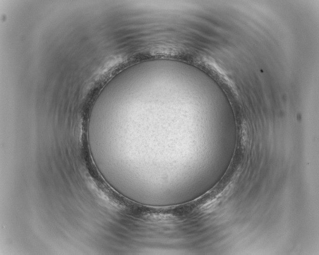 X0000088170637200706051117