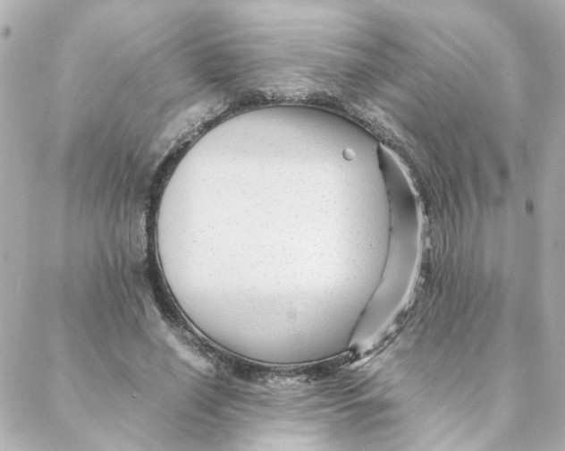 X0000088170638200706051117