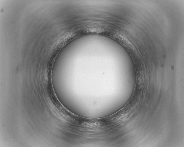 X0000088170639200706051117