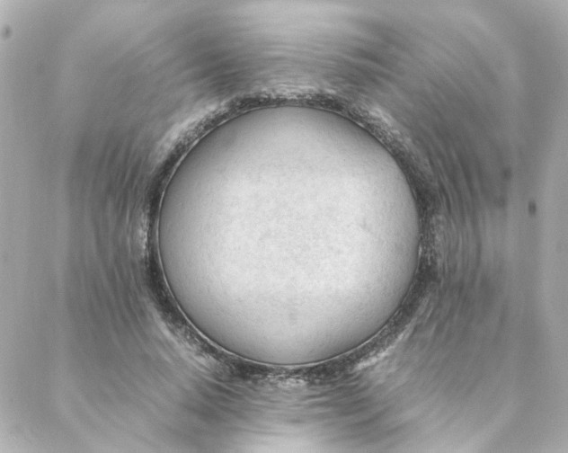 X0000088170640200706051117