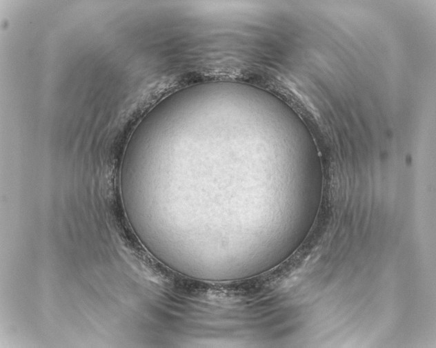 X0000088170641200706051117