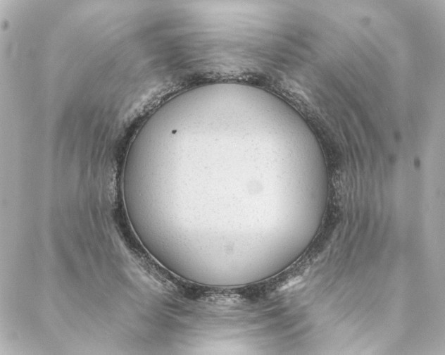 X0000088170642200706051117