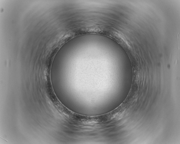 X0000088170643200706051117