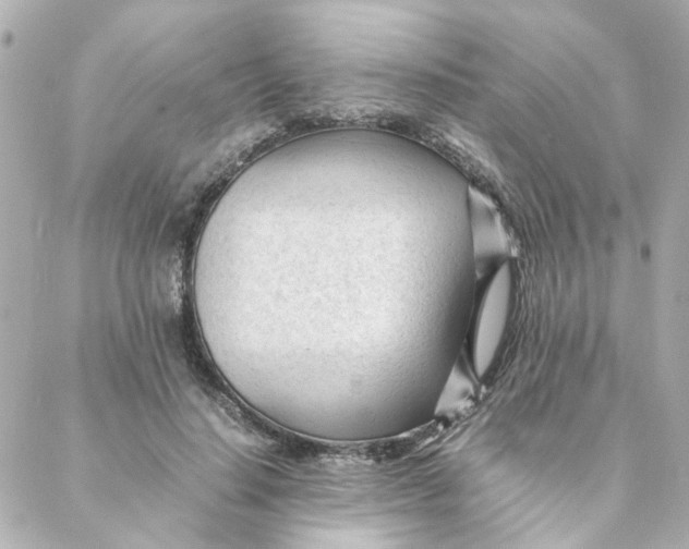 X0000088170644200706051117