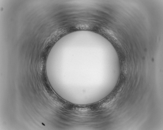 X0000088170645200706051117