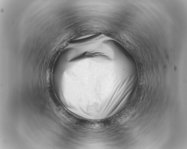 X0000088170646200706051117