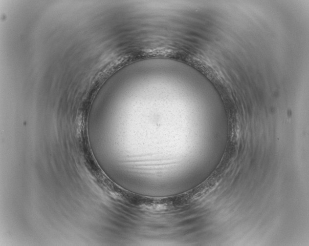 X0000088170647200706051117