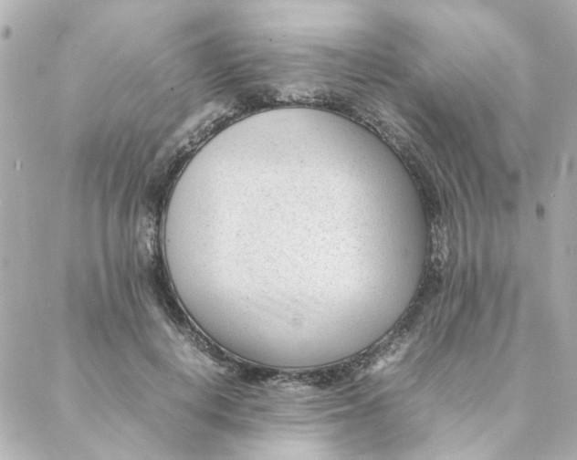 X0000088170648200706051117