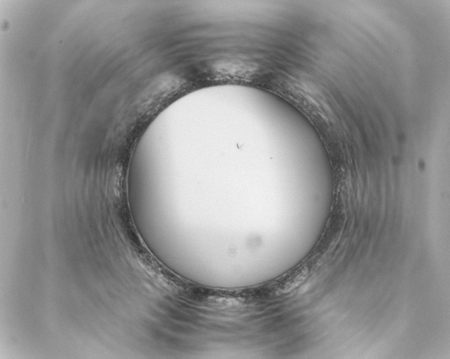 X0000088170649200706051117