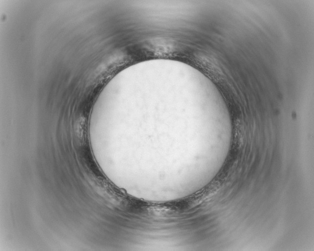 X0000088170650200706051118