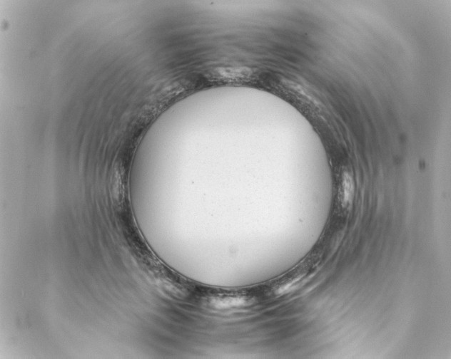 X0000088170651200706051118