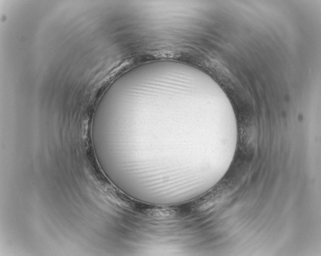 X0000088170652200706051118