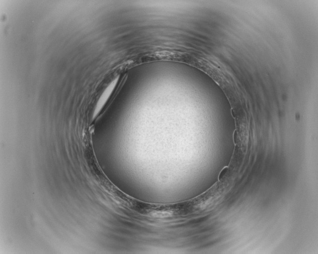 X0000088170653200706051118