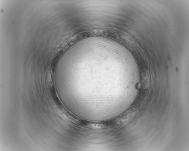 X0000088170654200706051118