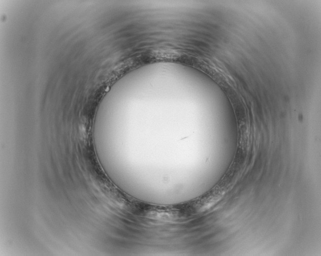 X0000088170655200706051118