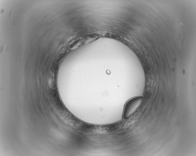 X0000088170656200706051118