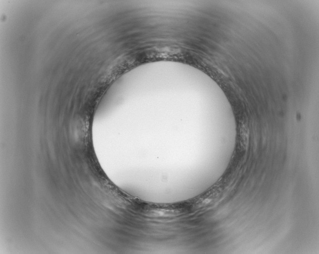 X0000088170657200706051118