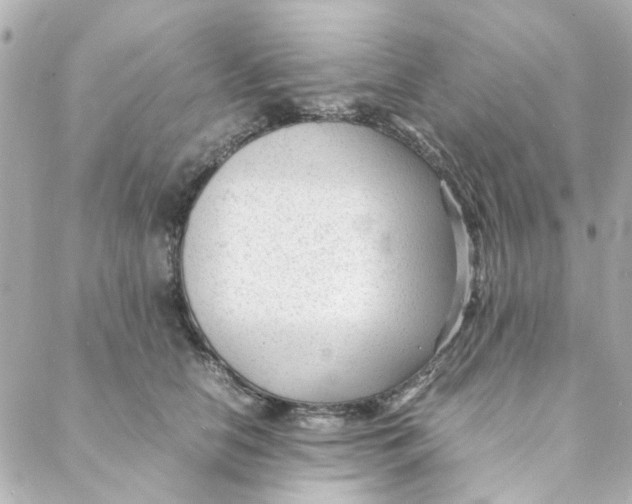 X0000088170658200706051118