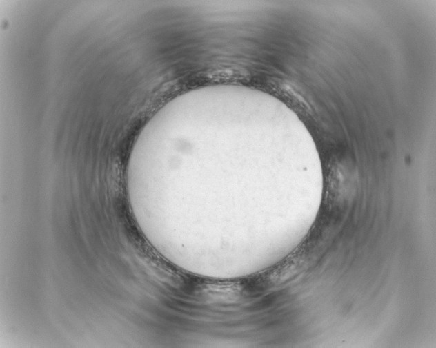 X0000088170659200706051118