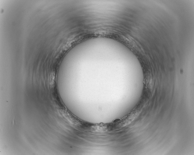 X0000088170660200706051118