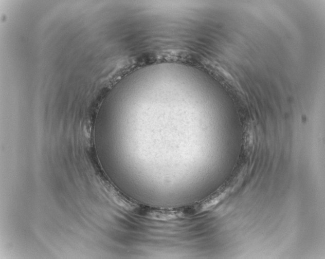 X0000088170661200706051118