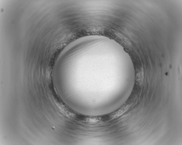 X0000088170662200706051118