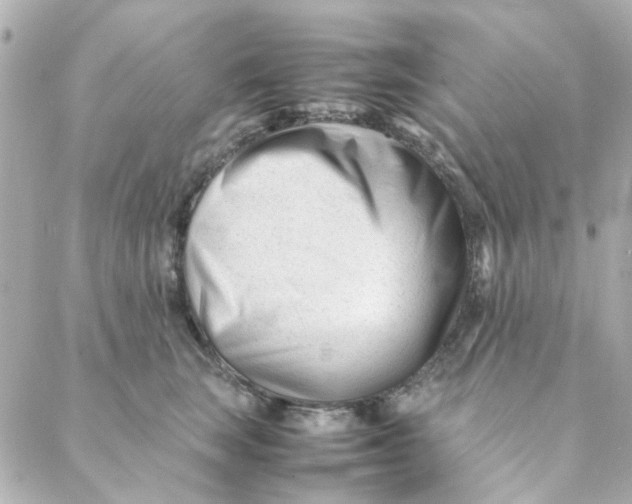 X0000088170663200706051118