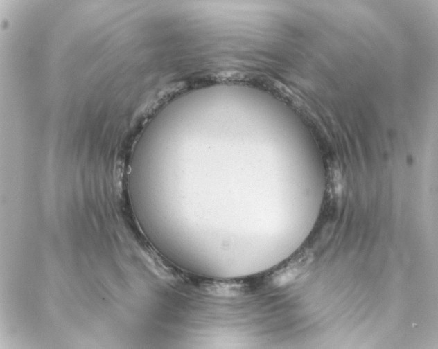 X0000088170664200706051118