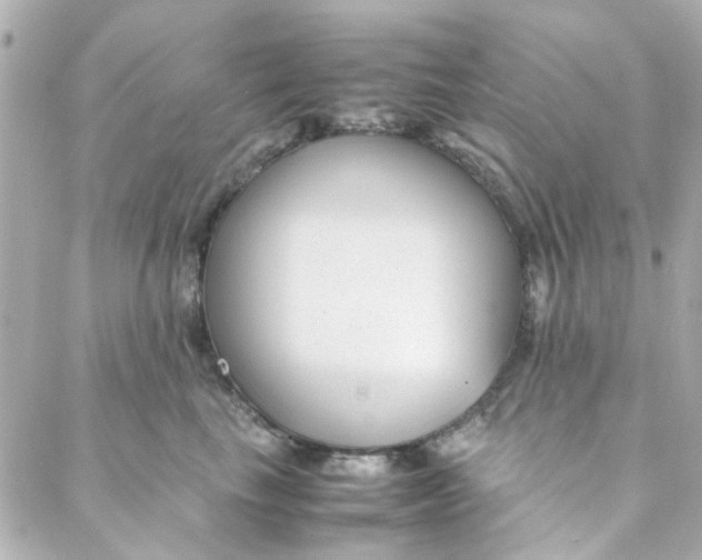 X0000088170665200706051118