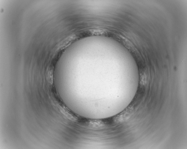 X0000088170666200706051118