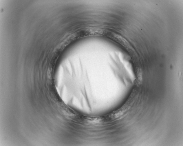 X0000088170667200706051118