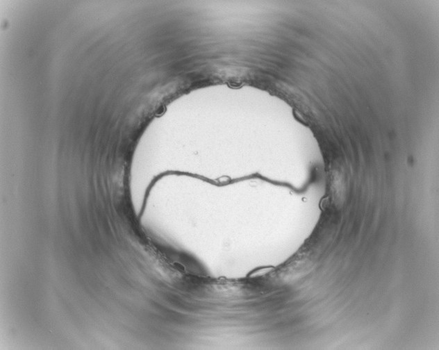 X0000088170668200706051118