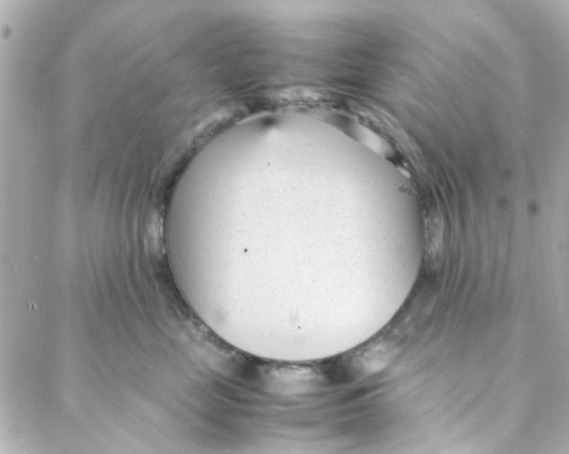 X0000088170669200706051118