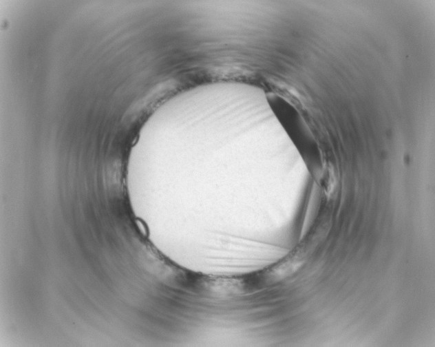 X0000088170670200706051118