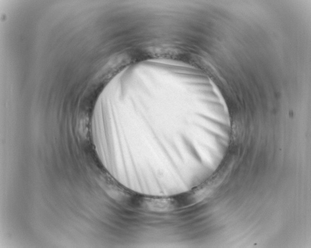 X0000088170671200706051118