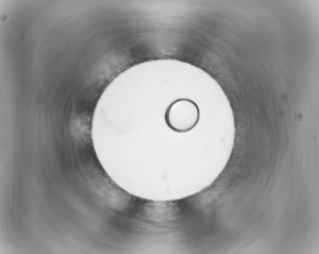 X0000088170672200706051118