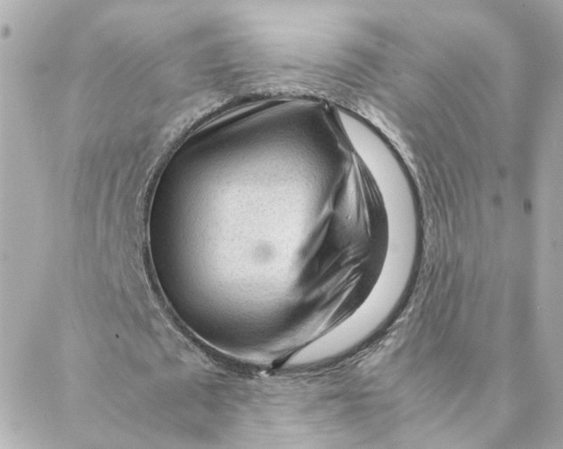 X0000088170673200706051117