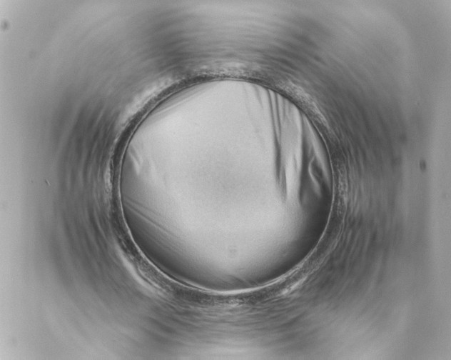 X0000088170674200706051117