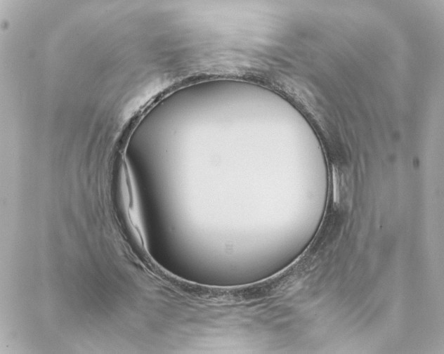 X0000088170675200706051117