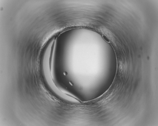 X0000088170676200706051117