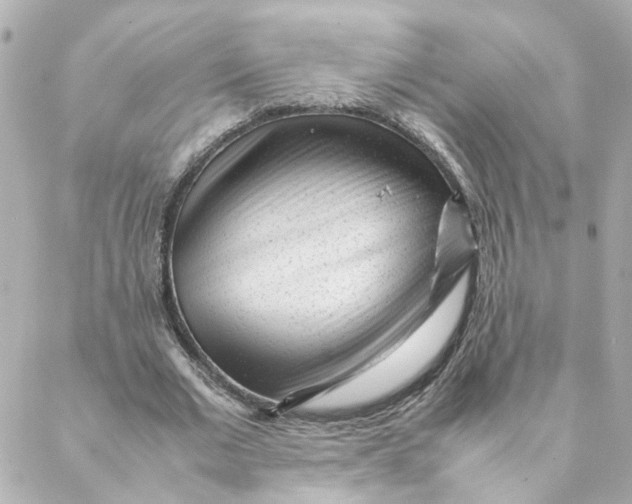 X0000088170677200706051117