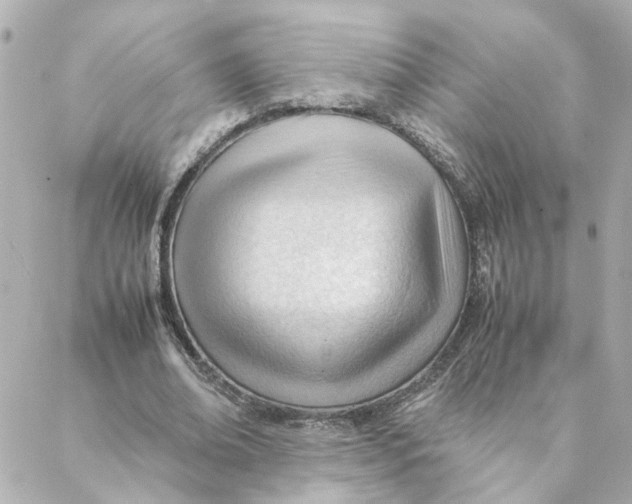 X0000088170678200706051117